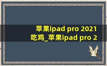 苹果ipad pro 2021吃鸡_苹果ipad pro 2020吃鸡测评